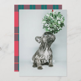 Tarjeta de vacaciones de foto de mascota tonta y f