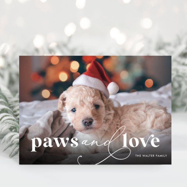 Tarjeta de vacaciones de fotos completas de Paws a (Paws and Love Full Photo Christmas Card)