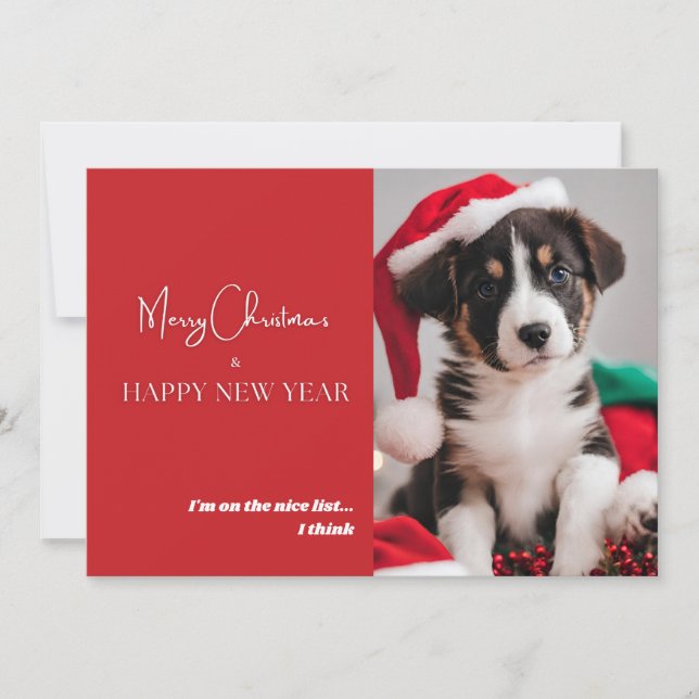 Tarjeta de vacaciones de fotos de perro lindo (Anverso)