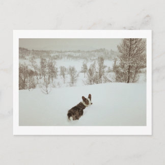 Tarjeta de vacaciones de invierno