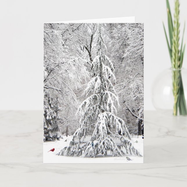 Tarjeta de vacaciones de invierno: parque del jard (Anverso)