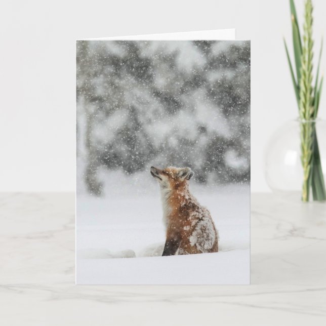 Tarjeta de vacaciones de "Magia de Invierno" (Anverso)