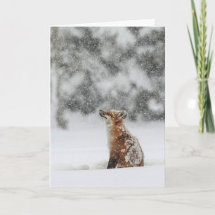 Tarjeta de vacaciones de "Magia de Invierno"