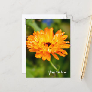 Tarjeta de vacaciones de Marigold naranja