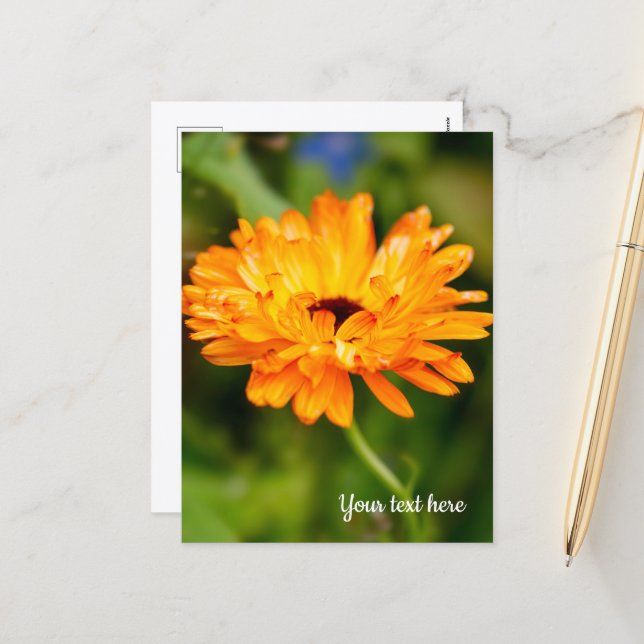 Tarjeta de vacaciones de Marigold naranja (Anverso/Reverso In Situ)
