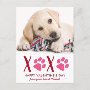 Tarjeta de vacaciones de Mascota de perro lindo Dí