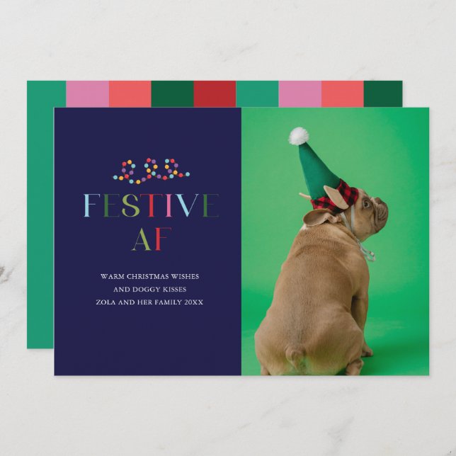 Tarjeta de vacaciones de mascotas divertidas Festi (Anverso / Reverso)