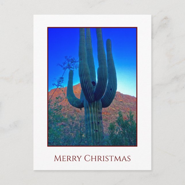 Tarjeta de vacaciones de Navidades de Cactus (Anverso)