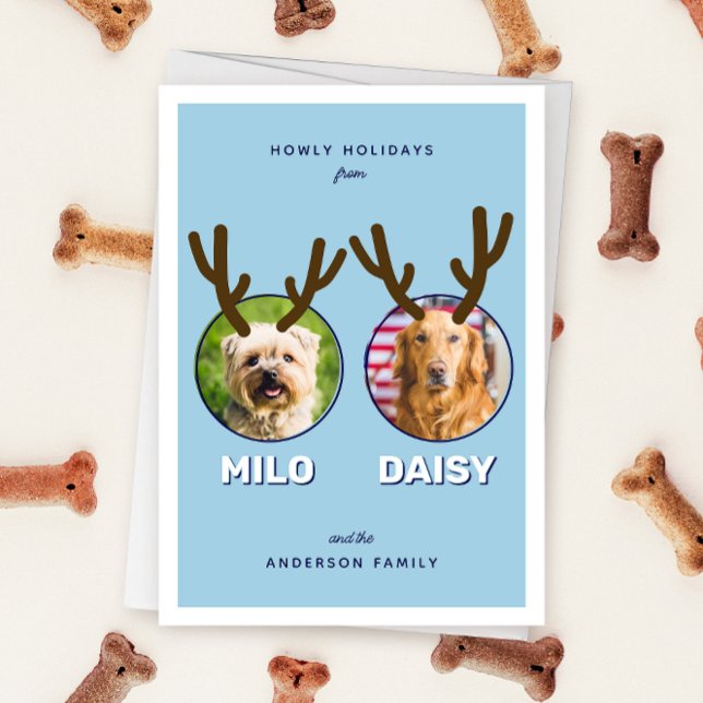 Tarjeta de vacaciones de Navidades de Mascota de f (blue two photo pet Christmas holiday card with message "Howly Holidays" with two sets of antlers)