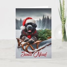 Tarjeta de vacaciones de Newfoundland Santa Newf
