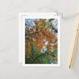 Tarjeta de vacaciones de otoño elegante