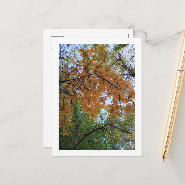 Tarjeta de vacaciones de otoño elegante (Anverso/Reverso In Situ)