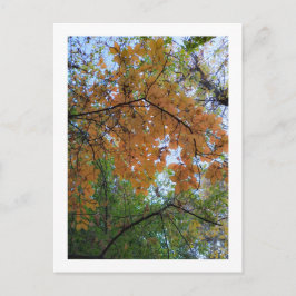 Tarjeta de vacaciones de otoño elegante
