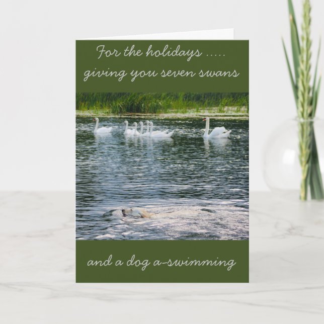 Tarjeta de vacaciones de patas y plumas (Anverso)