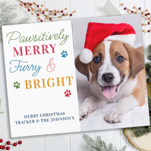 Tarjeta de vacaciones de perro brillante y de pelu