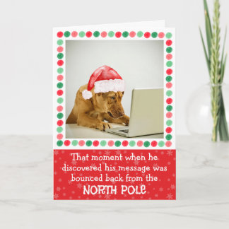 Tarjeta de vacaciones de perro doblado del Polo No