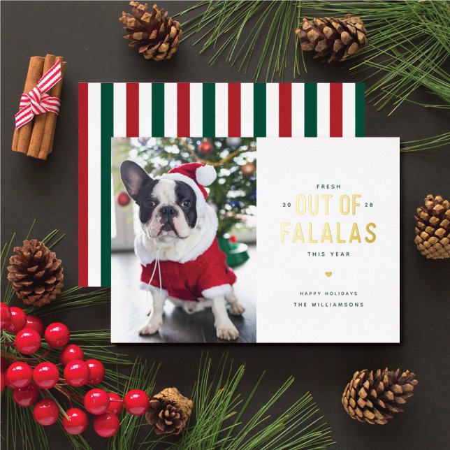 Tarjeta de vacaciones de perros divertidos fuera d (snarky holiday cards for pet owners)