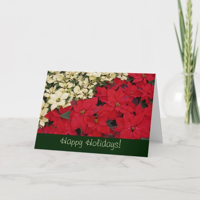 Tarjeta de vacaciones de poinsettias rojas y blanc (Anverso)