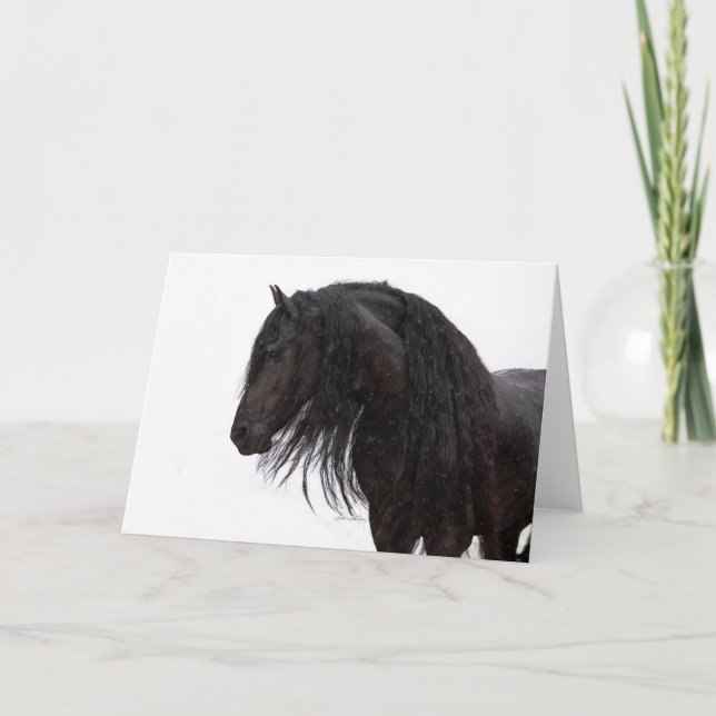 Tarjeta de vacaciones de Stallions de Friesian (Anverso)