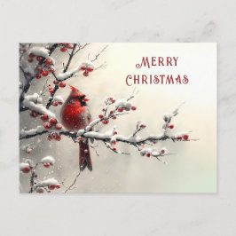 Tarjeta de vacaciones del cardenal rojo de Navidad