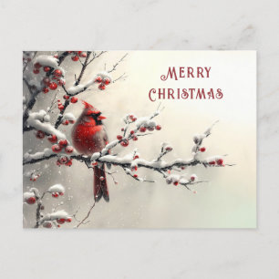 Tarjeta de vacaciones del cardenal rojo de Navidad