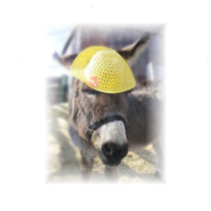 Tarjeta de vacaciones "El verdadero conejo de Pasc