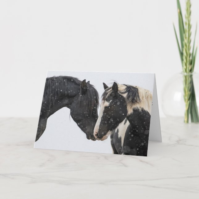 Tarjeta de vacaciones "Flirteo" (Anverso)