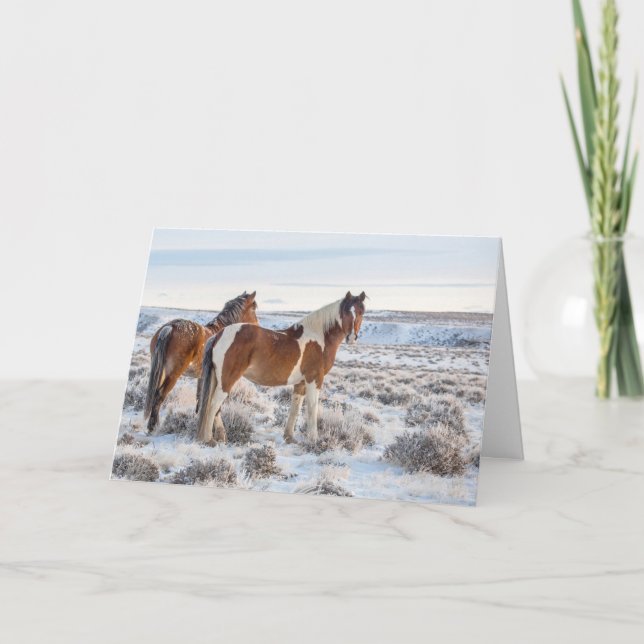 Tarjeta de vacaciones "Frozen Dawn" (Anverso)