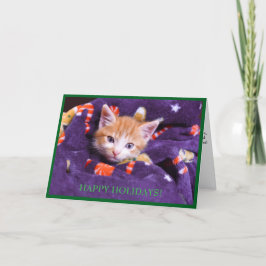 Tarjeta de vacaciones Gray Blanket Cat Naranja Kit