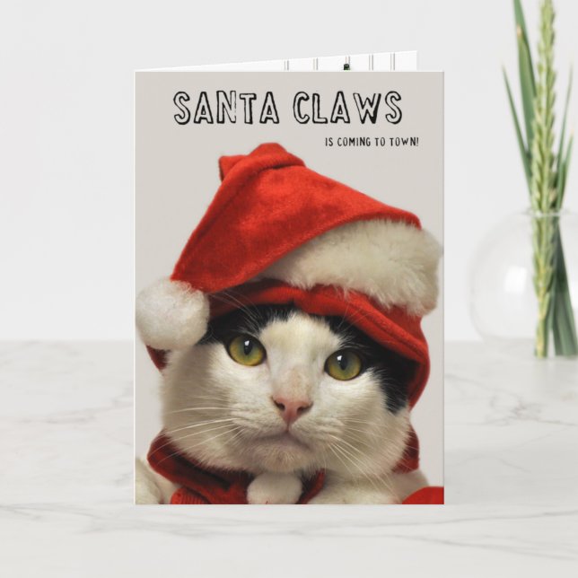 Tarjeta de vacaciones Greyfoot Cat Rescue Santa Cl (Anverso)