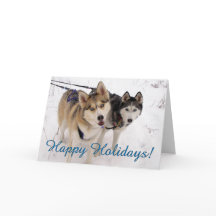 Tarjeta de vacaciones Husky Siberian