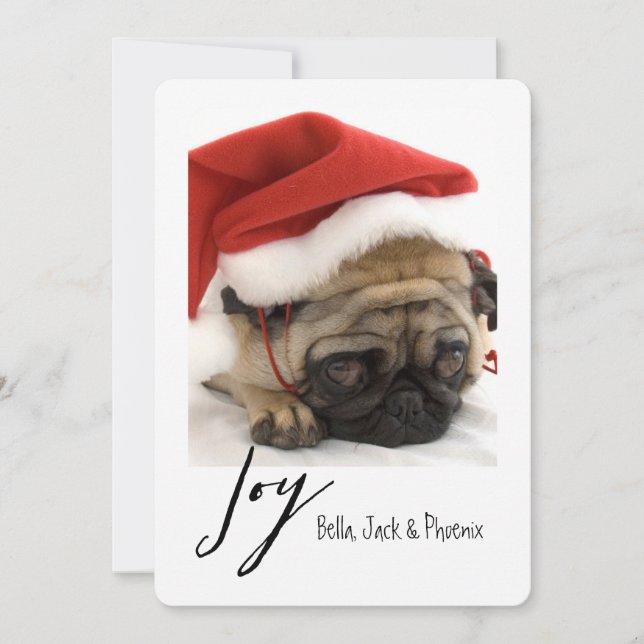 Tarjeta de vacaciones Joy Modern Mascota (Anverso)