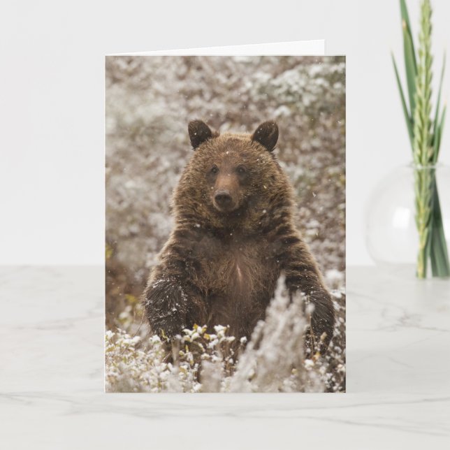 Tarjeta de vacaciones "Let it Snow" (Anverso)