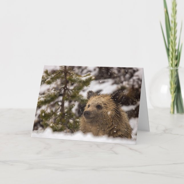 Tarjeta de vacaciones "Maravilla" (Anverso)