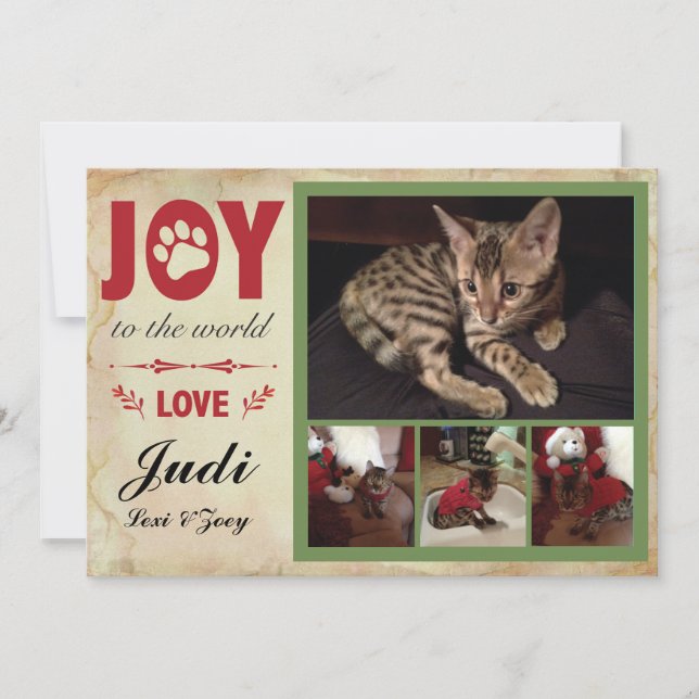 Tarjeta de vacaciones mascota - Navidades (Anverso)