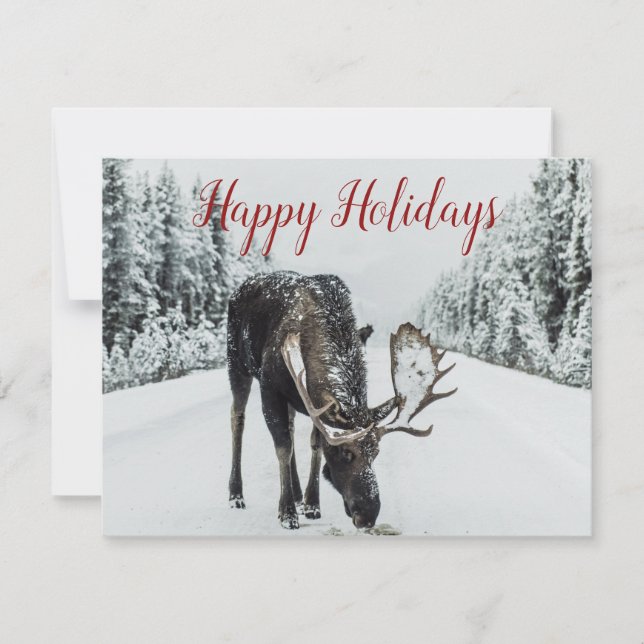 Tarjeta de vacaciones Moose In Winter Snow Navidad (Anverso)