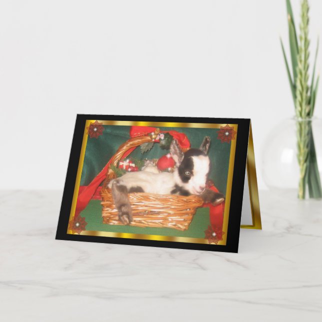 Tarjeta de vacaciones Myotonic Baby Goat (Anverso)