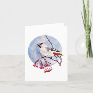 Tarjeta de vacaciones para aves de invierno