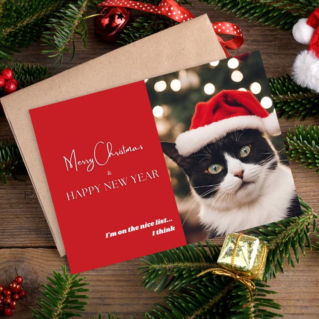 Tarjeta de vacaciones para gato Mascota (Subido por el creador)
