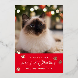 Tarjeta de vacaciones para Mascota de Navidades pu