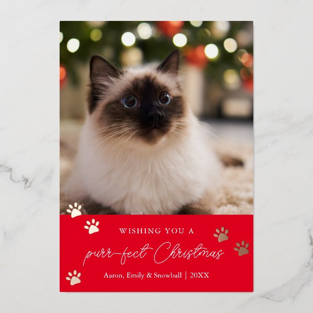 Tarjeta de vacaciones para Mascota de Navidades pu (Anverso)