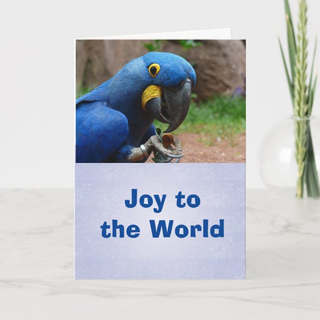 Tarjeta de vacaciones Parrot Happy, sobres incluid (Anverso)