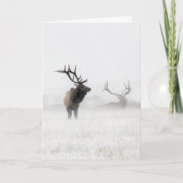 Tarjeta de vacaciones "perdida en la tormenta" (Anverso)