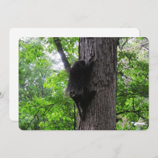 Tarjeta de vacaciones plana alta escalada (Anverso / Reverso)