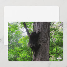 Tarjeta de vacaciones plana alta escalada