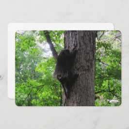 Tarjeta de vacaciones plana alta escalada