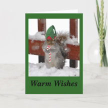 Tarjeta de vacaciones plegable de ardilla linda en