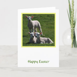 Tarjeta de vacaciones plegada