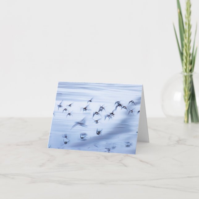 Tarjeta de vacaciones plegada de 4" x 5,6" pequeña (Anverso)