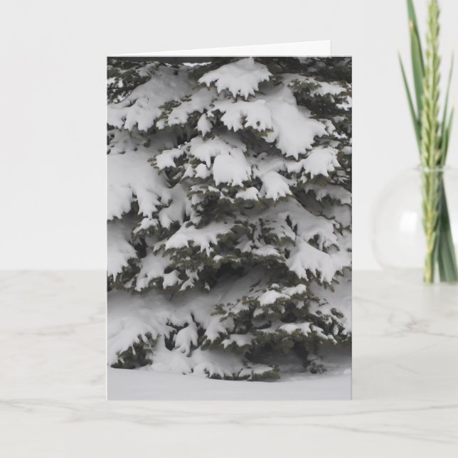 Tarjeta de vacaciones plegada de ramas nevadas (Anverso)